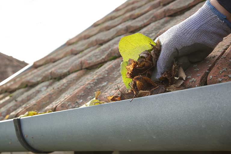 Gutter Cleaning Services