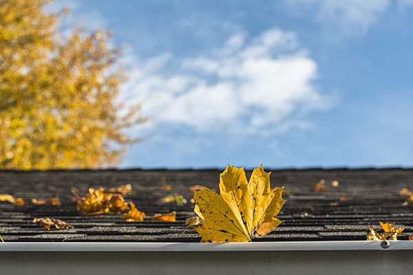 View All Gutter Cleaning Services View All Gutter Cleaning Services